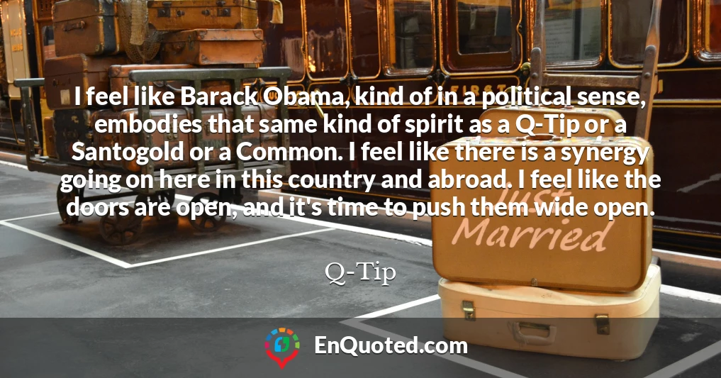 I feel like Barack Obama, kind of in a political sense, embodies that same kind of spirit as a Q-Tip or a Santogold or a Common. I feel like there is a synergy going on here in this country and abroad. I feel like the doors are open, and it's time to push them wide open.