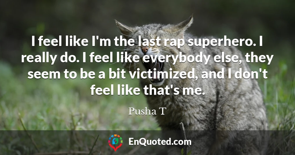 I feel like I'm the last rap superhero. I really do. I feel like everybody else, they seem to be a bit victimized, and I don't feel like that's me.