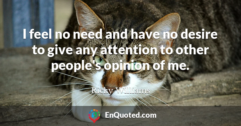 I feel no need and have no desire to give any attention to other people's opinion of me.