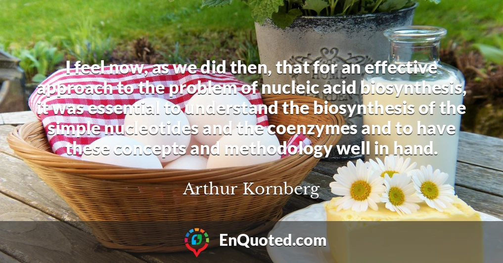 I feel now, as we did then, that for an effective approach to the problem of nucleic acid biosynthesis, it was essential to understand the biosynthesis of the simple nucleotides and the coenzymes and to have these concepts and methodology well in hand.