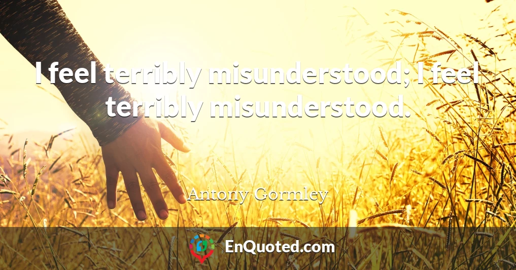 I feel terribly misunderstood; I feel terribly misunderstood.