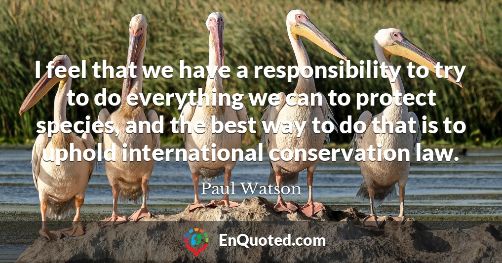 I feel that we have a responsibility to try to do everything we can to protect species, and the best way to do that is to uphold international conservation law.