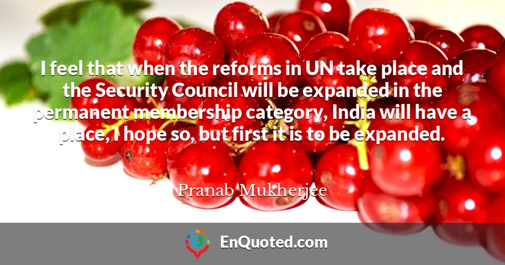 I feel that when the reforms in UN take place and the Security Council will be expanded in the permanent membership category, India will have a place, I hope so, but first it is to be expanded.