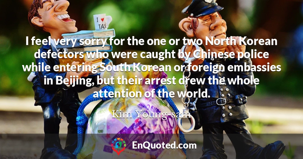 I feel very sorry for the one or two North Korean defectors who were caught by Chinese police while entering South Korean or foreign embassies in Beijing, but their arrest drew the whole attention of the world.