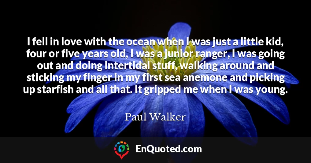 I fell in love with the ocean when I was just a little kid, four or five years old, I was a junior ranger, I was going out and doing intertidal stuff, walking around and sticking my finger in my first sea anemone and picking up starfish and all that. It gripped me when I was young.