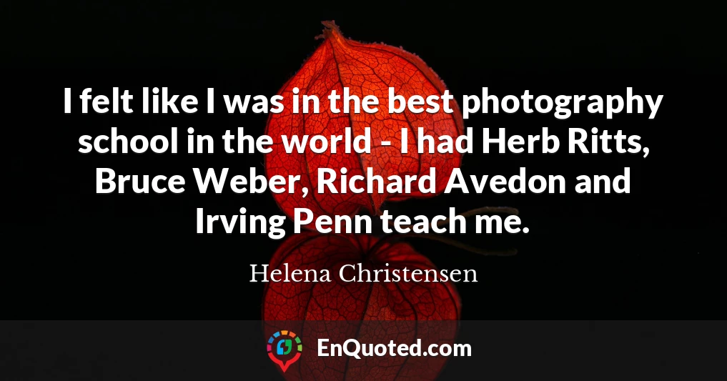 I felt like I was in the best photography school in the world - I had Herb Ritts, Bruce Weber, Richard Avedon and Irving Penn teach me.