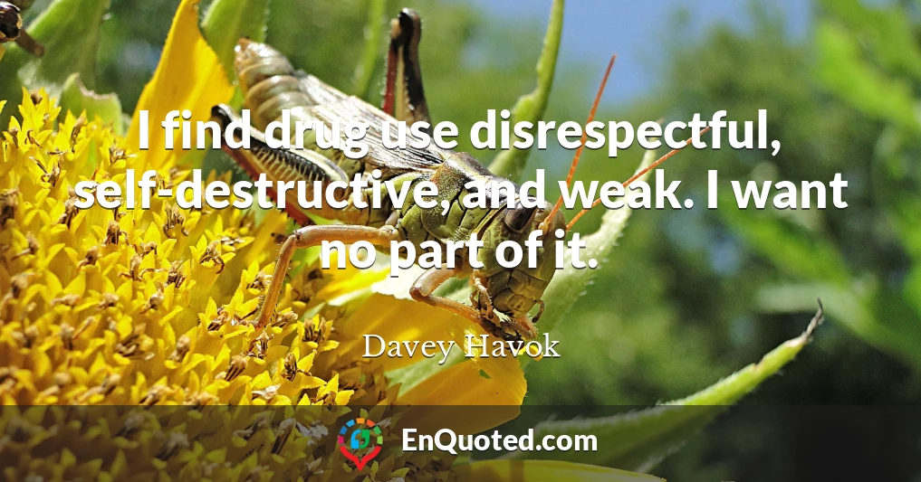 I find drug use disrespectful, self-destructive, and weak. I want no part of it.