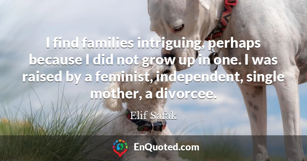 I find families intriguing, perhaps because I did not grow up in one. I was raised by a feminist, independent, single mother, a divorcee.