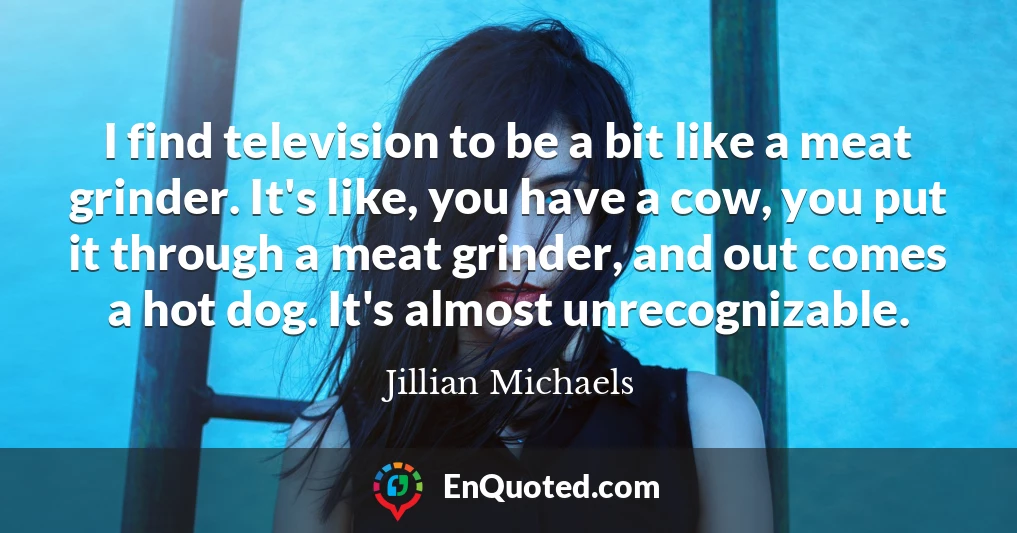 I find television to be a bit like a meat grinder. It's like, you have a cow, you put it through a meat grinder, and out comes a hot dog. It's almost unrecognizable.