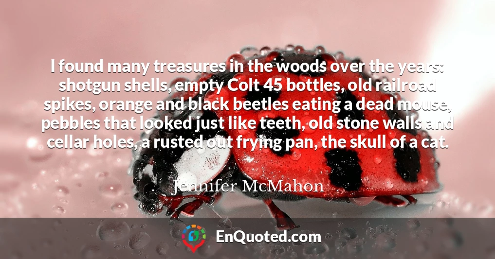 I found many treasures in the woods over the years: shotgun shells, empty Colt 45 bottles, old railroad spikes, orange and black beetles eating a dead mouse, pebbles that looked just like teeth, old stone walls and cellar holes, a rusted out frying pan, the skull of a cat.