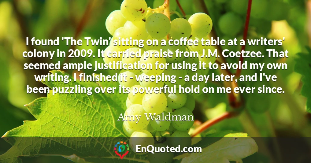 I found 'The Twin' sitting on a coffee table at a writers' colony in 2009. It carried praise from J.M. Coetzee. That seemed ample justification for using it to avoid my own writing. I finished it - weeping - a day later, and I've been puzzling over its powerful hold on me ever since.
