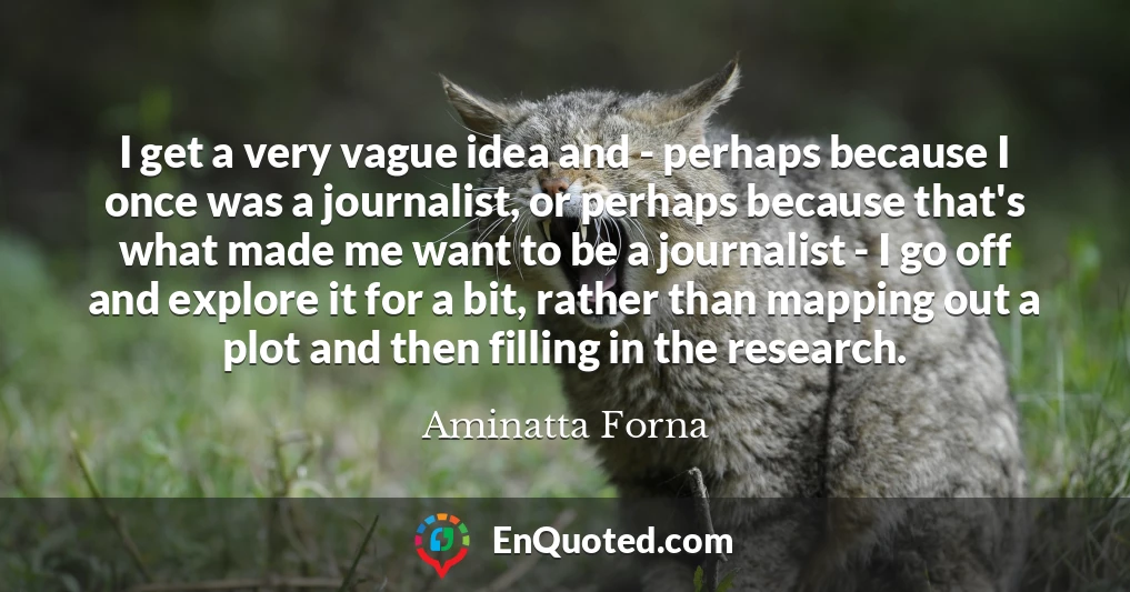 I get a very vague idea and - perhaps because I once was a journalist, or perhaps because that's what made me want to be a journalist - I go off and explore it for a bit, rather than mapping out a plot and then filling in the research.