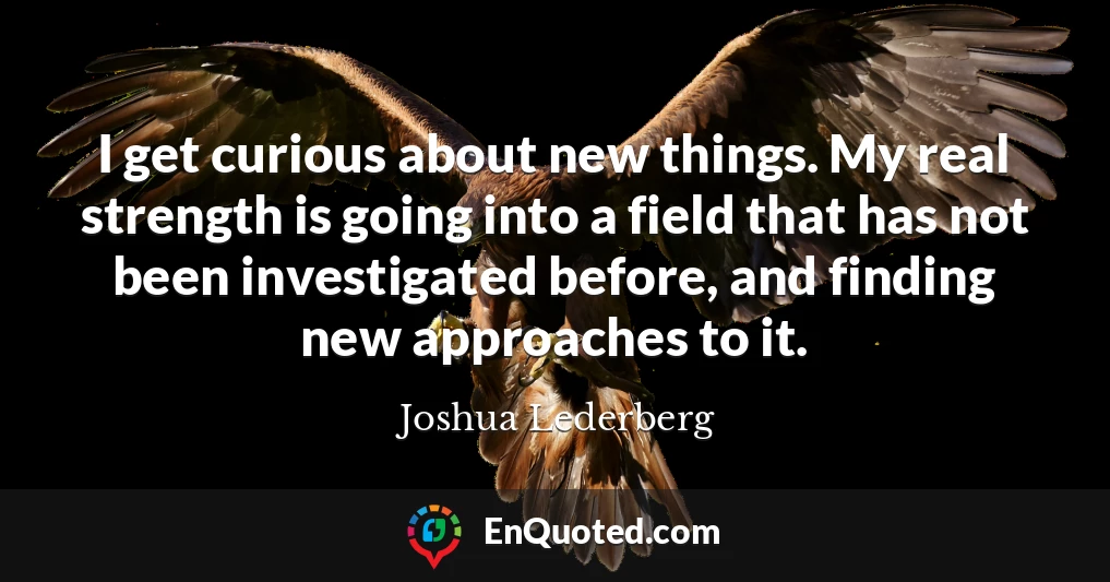 I get curious about new things. My real strength is going into a field that has not been investigated before, and finding new approaches to it.