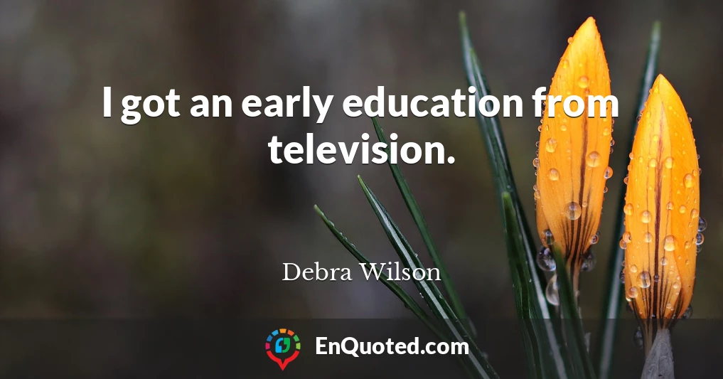 I got an early education from television.