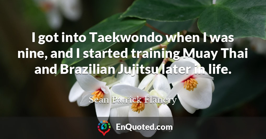I got into Taekwondo when I was nine, and I started training Muay Thai and Brazilian Jujitsu later in life.