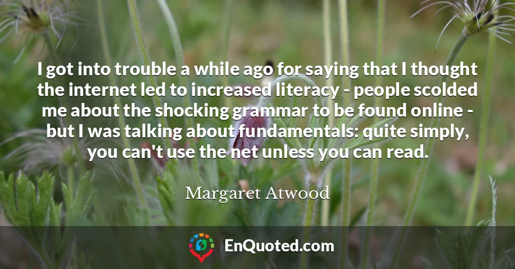 I got into trouble a while ago for saying that I thought the internet led to increased literacy - people scolded me about the shocking grammar to be found online - but I was talking about fundamentals: quite simply, you can't use the net unless you can read.