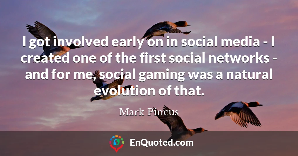 I got involved early on in social media - I created one of the first social networks - and for me, social gaming was a natural evolution of that.