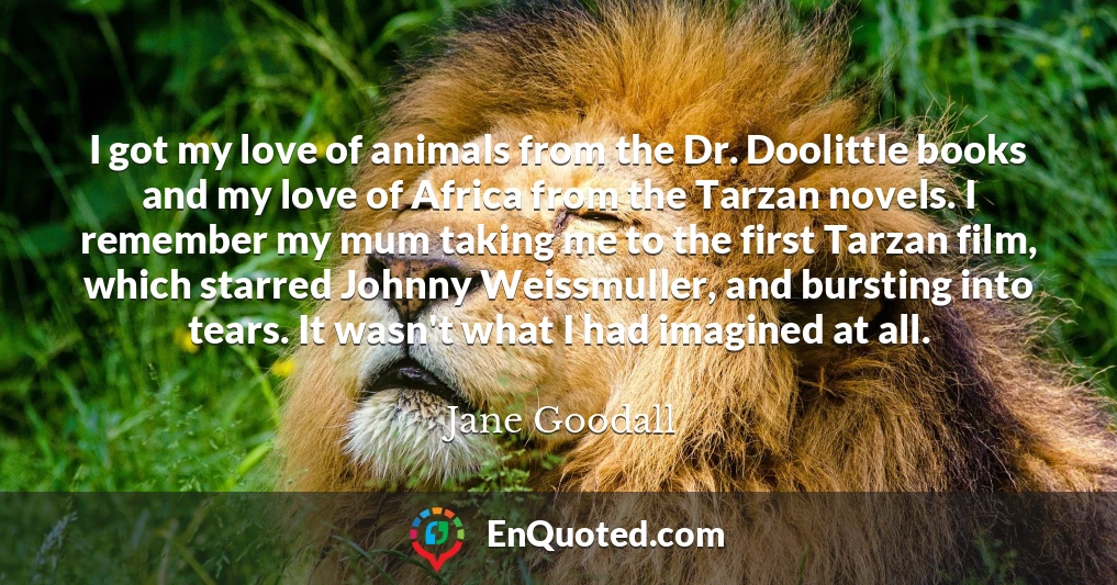 I got my love of animals from the Dr. Doolittle books and my love of Africa from the Tarzan novels. I remember my mum taking me to the first Tarzan film, which starred Johnny Weissmuller, and bursting into tears. It wasn't what I had imagined at all.