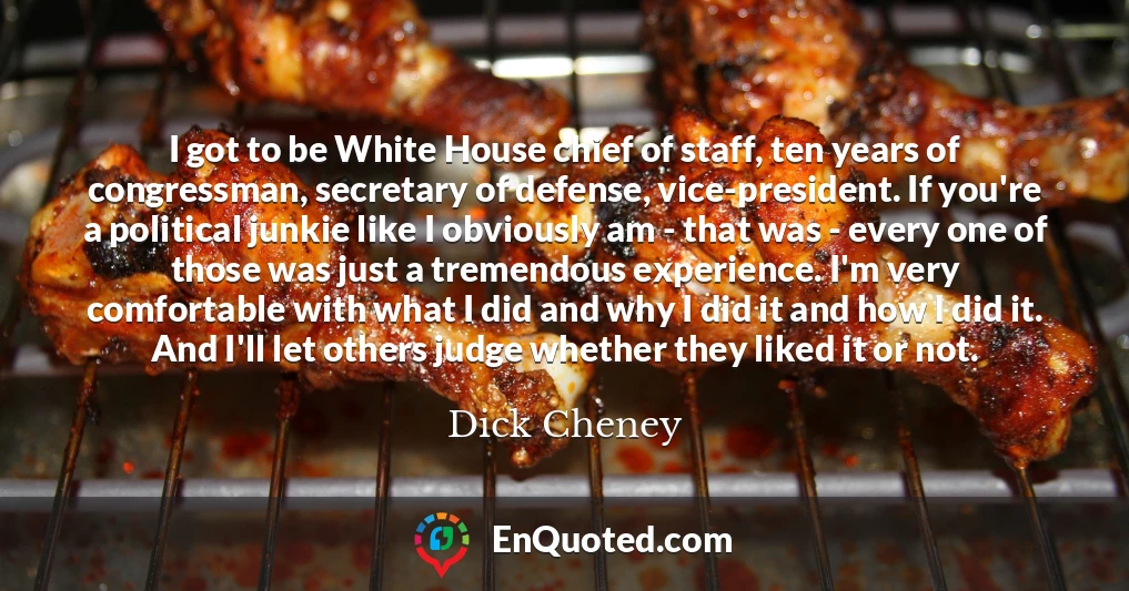 I got to be White House chief of staff, ten years of congressman, secretary of defense, vice-president. If you're a political junkie like I obviously am - that was - every one of those was just a tremendous experience. I'm very comfortable with what I did and why I did it and how I did it. And I'll let others judge whether they liked it or not.