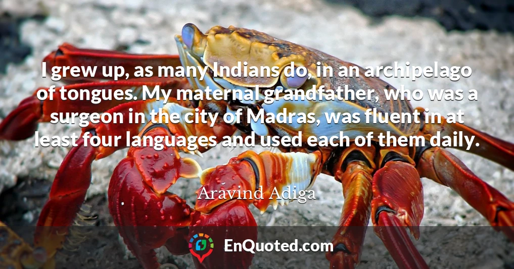 I grew up, as many Indians do, in an archipelago of tongues. My maternal grandfather, who was a surgeon in the city of Madras, was fluent in at least four languages and used each of them daily.