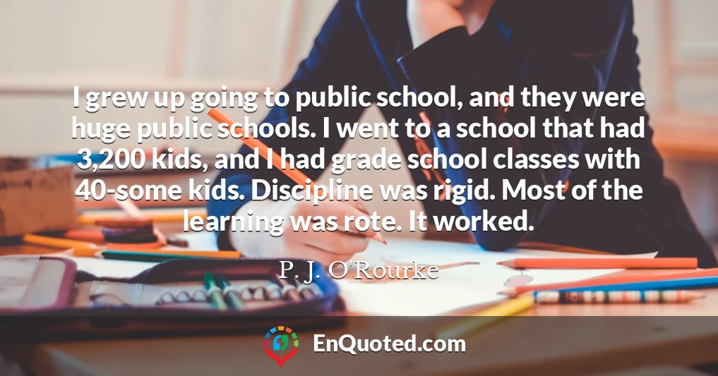 I grew up going to public school, and they were huge public schools. I went to a school that had 3,200 kids, and I had grade school classes with 40-some kids. Discipline was rigid. Most of the learning was rote. It worked.