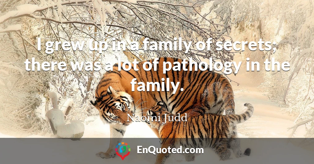I grew up in a family of secrets; there was a lot of pathology in the family.