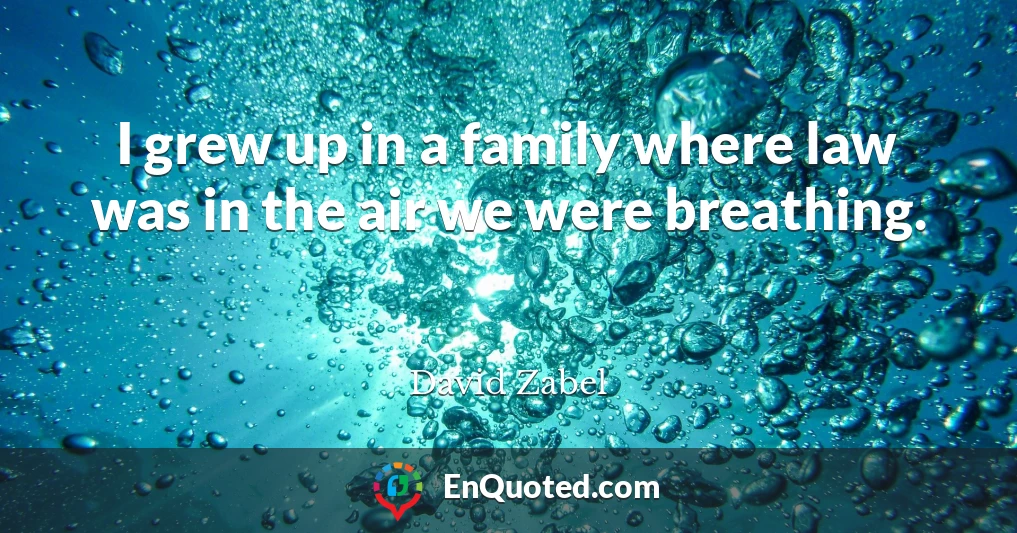 I grew up in a family where law was in the air we were breathing.