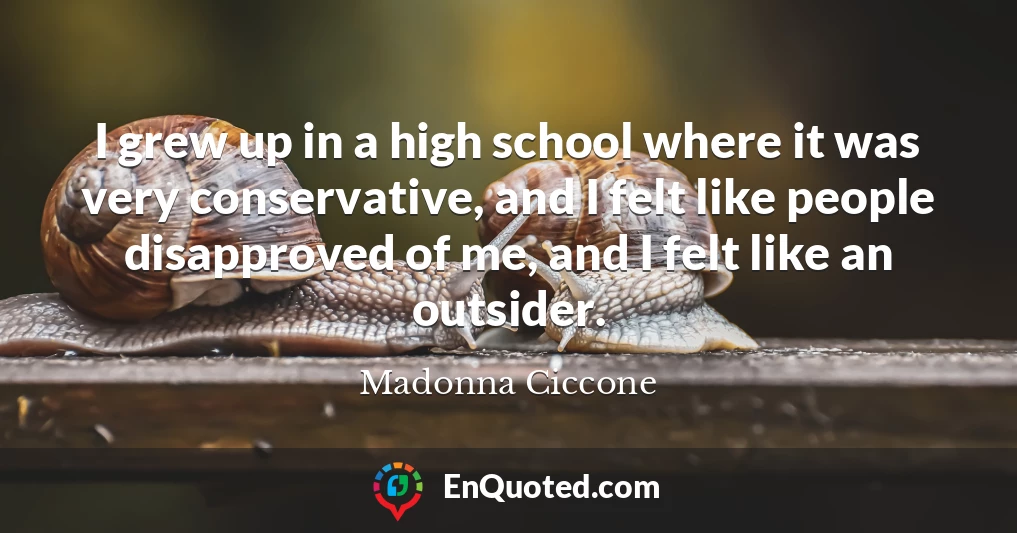 I grew up in a high school where it was very conservative, and I felt like people disapproved of me, and I felt like an outsider.