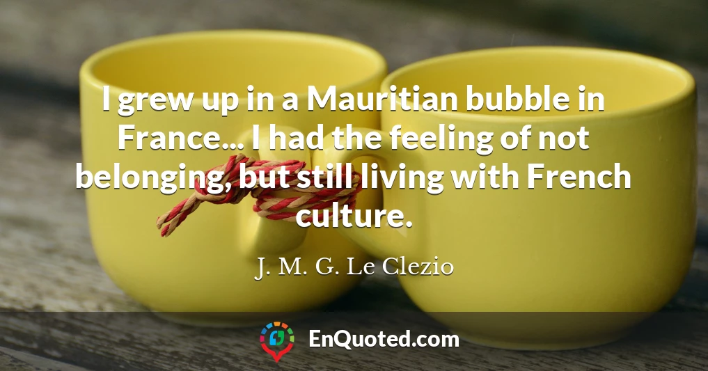 I grew up in a Mauritian bubble in France... I had the feeling of not belonging, but still living with French culture.