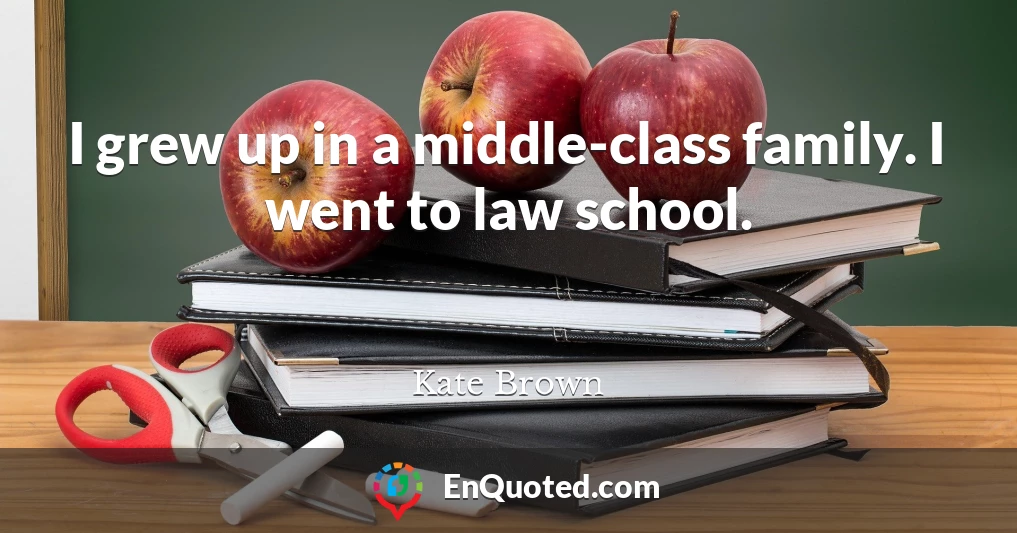 I grew up in a middle-class family. I went to law school.