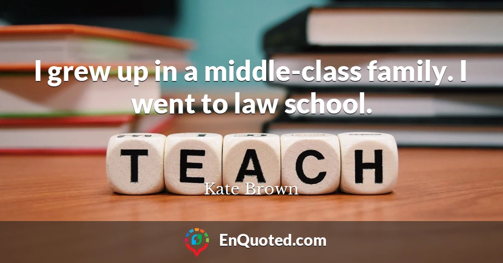 I grew up in a middle-class family. I went to law school.