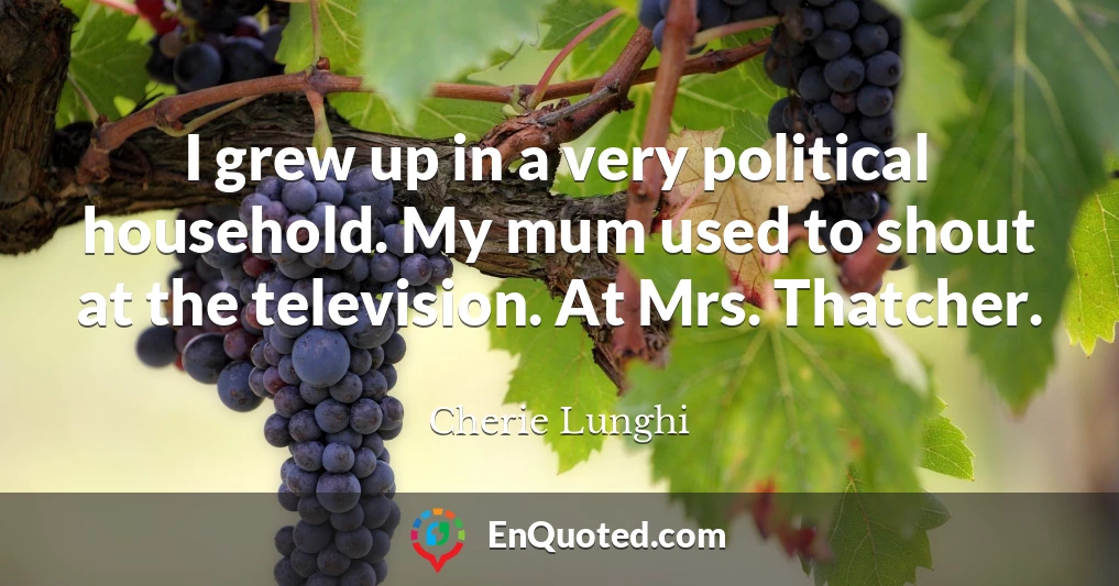 I grew up in a very political household. My mum used to shout at the television. At Mrs. Thatcher.