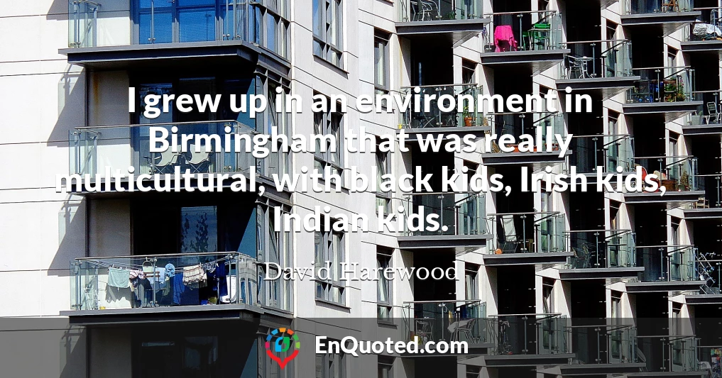 I grew up in an environment in Birmingham that was really multicultural, with black kids, Irish kids, Indian kids.
