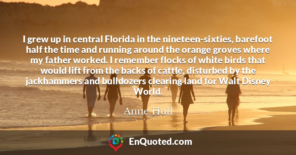 I grew up in central Florida in the nineteen-sixties, barefoot half the time and running around the orange groves where my father worked. I remember flocks of white birds that would lift from the backs of cattle, disturbed by the jackhammers and bulldozers clearing land for Walt Disney World.