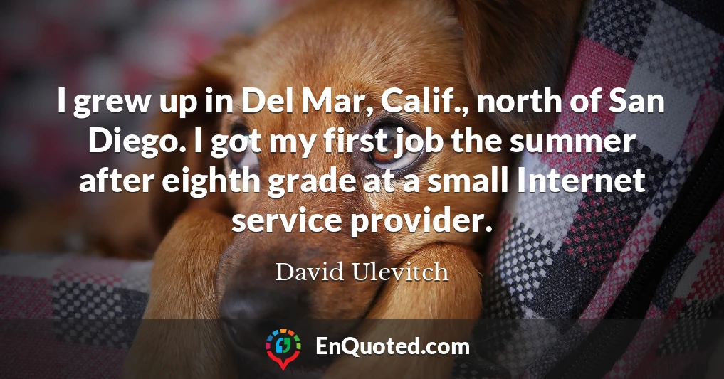 I grew up in Del Mar, Calif., north of San Diego. I got my first job the summer after eighth grade at a small Internet service provider.
