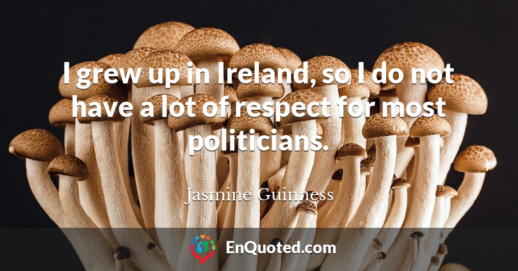 I grew up in Ireland, so I do not have a lot of respect for most politicians.