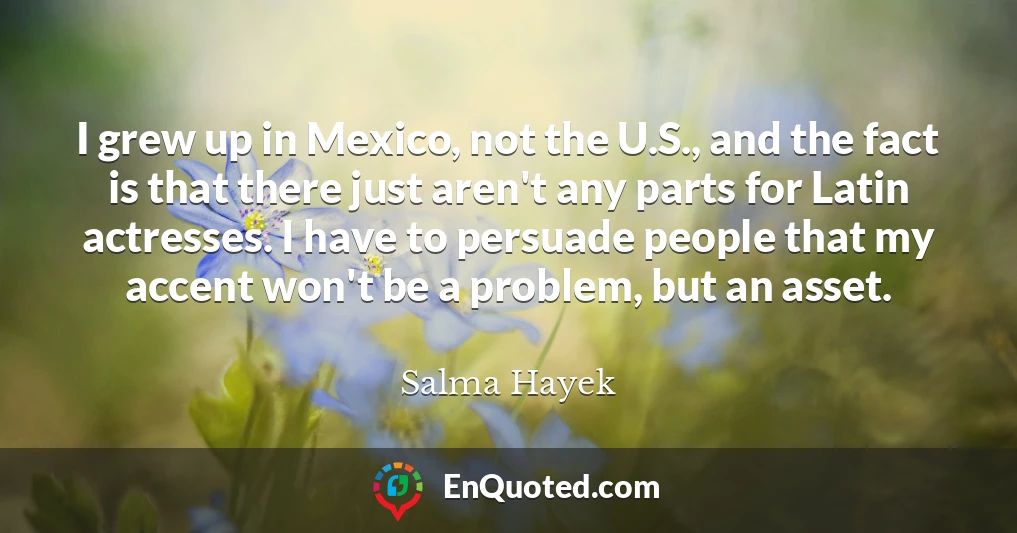 I grew up in Mexico, not the U.S., and the fact is that there just aren't any parts for Latin actresses. I have to persuade people that my accent won't be a problem, but an asset.