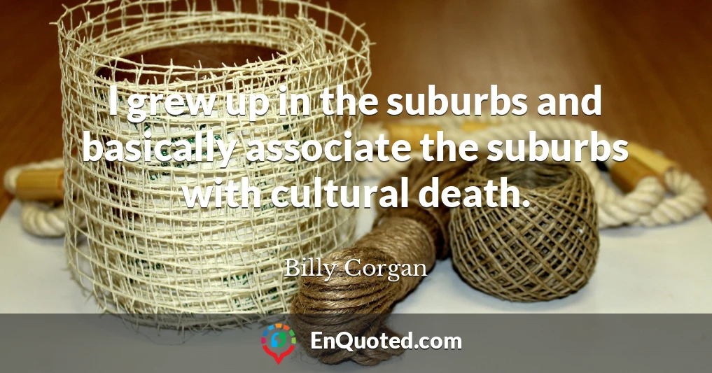 I grew up in the suburbs and basically associate the suburbs with cultural death.