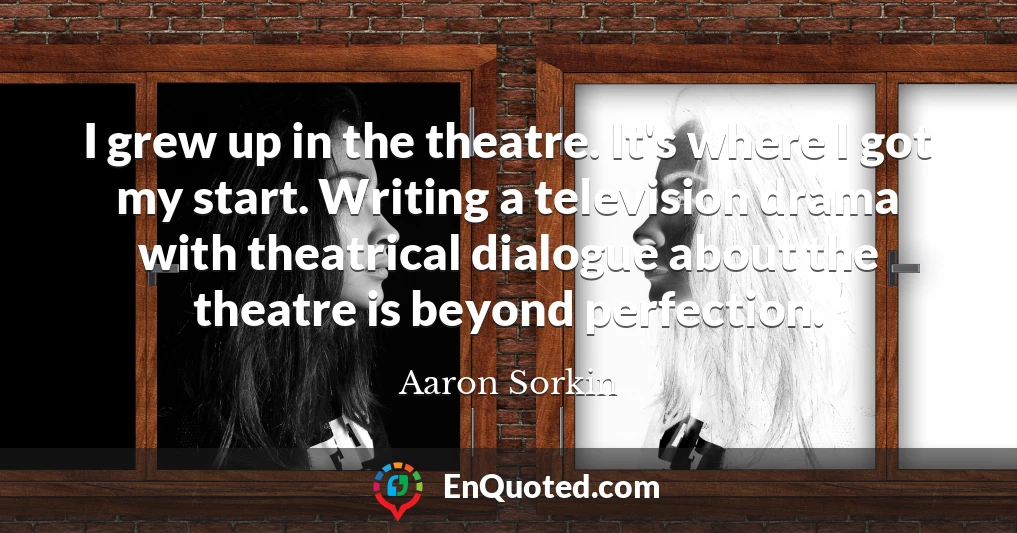 I grew up in the theatre. It's where I got my start. Writing a television drama with theatrical dialogue about the theatre is beyond perfection.
