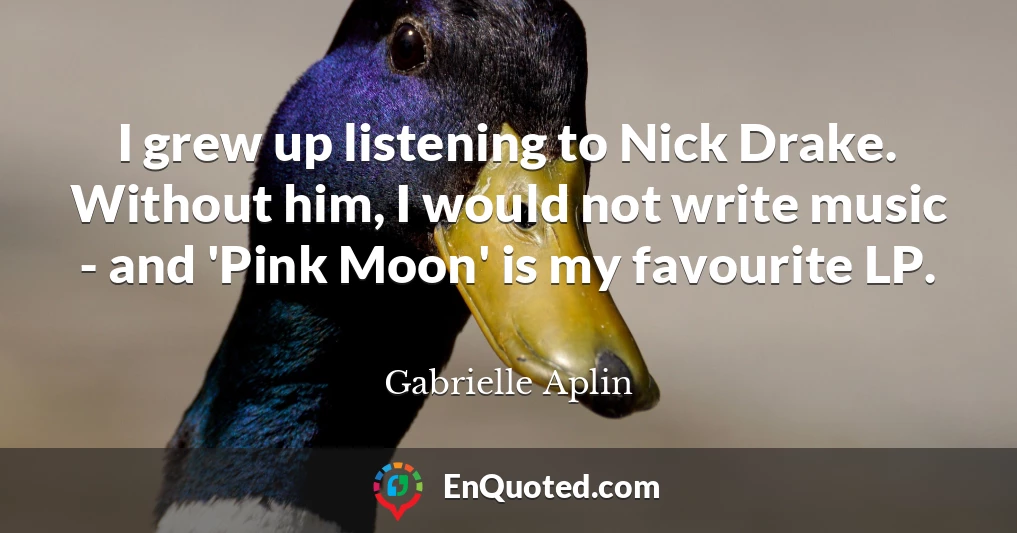 I grew up listening to Nick Drake. Without him, I would not write music - and 'Pink Moon' is my favourite LP.
