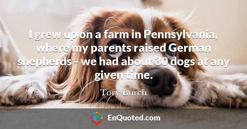I grew up on a farm in Pennsylvania, where my parents raised German shepherds - we had about 30 dogs at any given time.