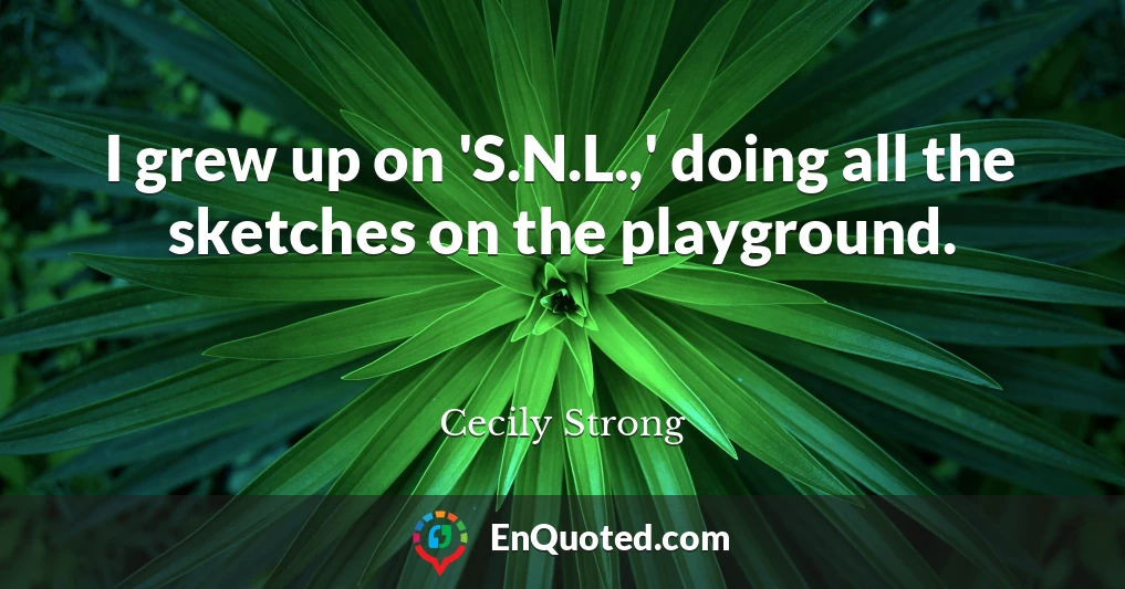 I grew up on 'S.N.L.,' doing all the sketches on the playground.