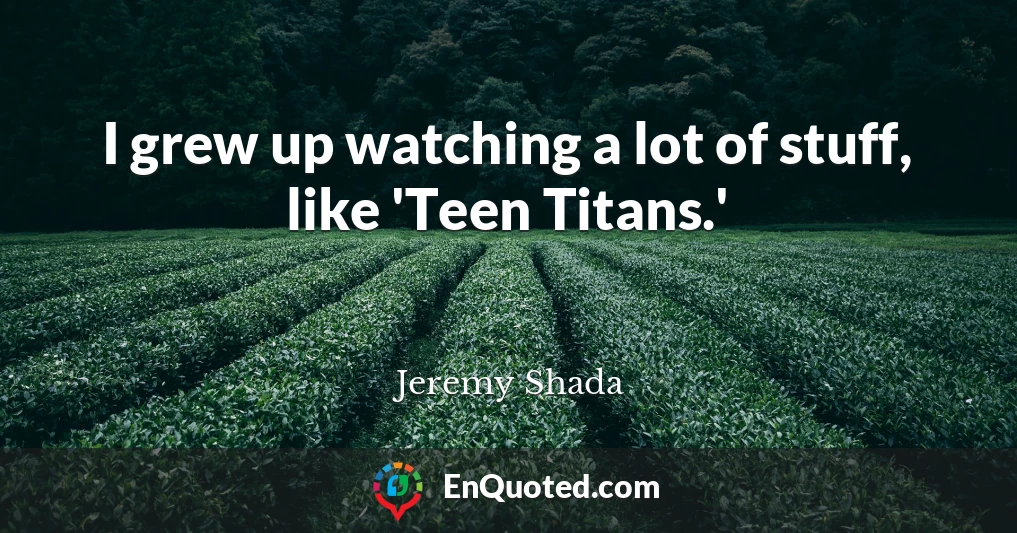 I grew up watching a lot of stuff, like 'Teen Titans.'