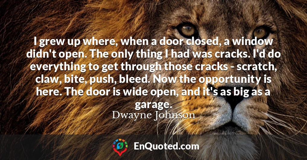 I grew up where, when a door closed, a window didn't open. The only thing I had was cracks. I'd do everything to get through those cracks - scratch, claw, bite, push, bleed. Now the opportunity is here. The door is wide open, and it's as big as a garage.