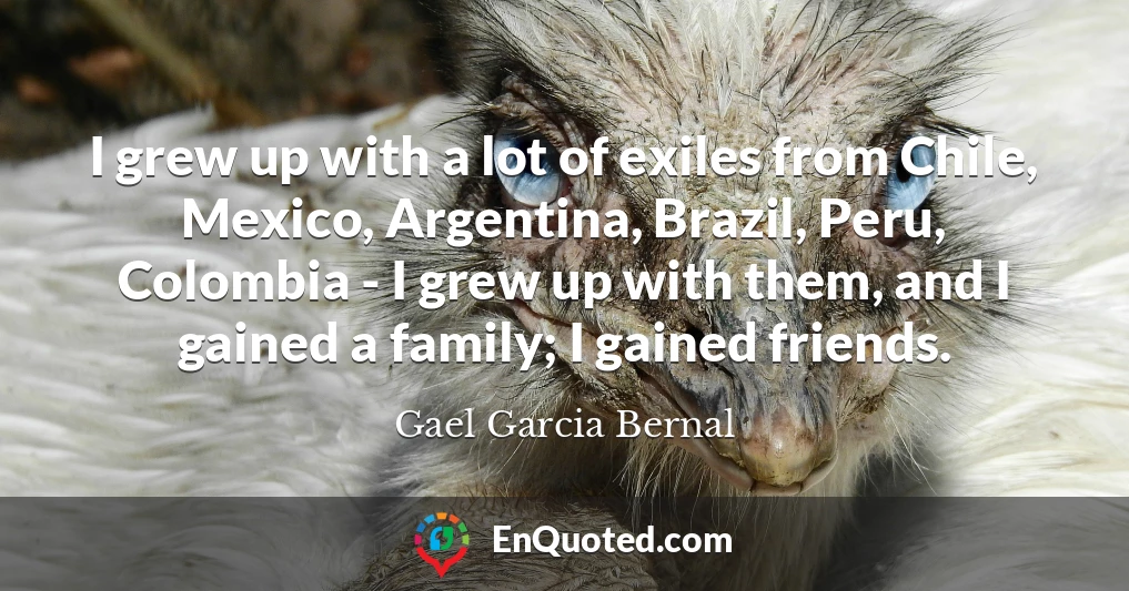 I grew up with a lot of exiles from Chile, Mexico, Argentina, Brazil, Peru, Colombia - I grew up with them, and I gained a family; I gained friends.