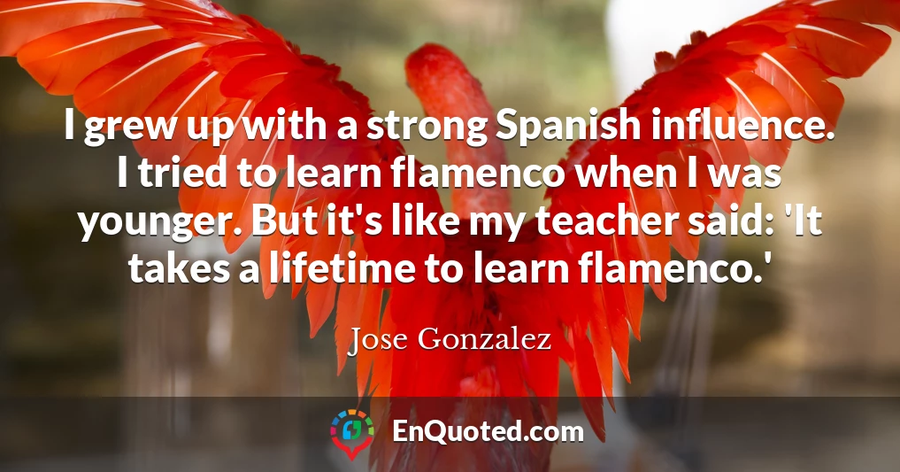 I grew up with a strong Spanish influence. I tried to learn flamenco when I was younger. But it's like my teacher said: 'It takes a lifetime to learn flamenco.'