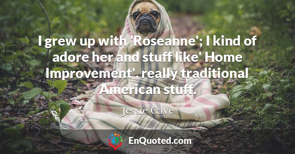 I grew up with 'Roseanne'; I kind of adore her and stuff like' Home Improvement', really traditional American stuff.