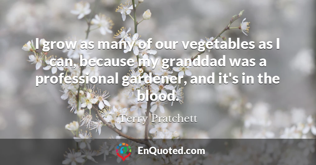 I grow as many of our vegetables as I can, because my granddad was a professional gardener, and it's in the blood.