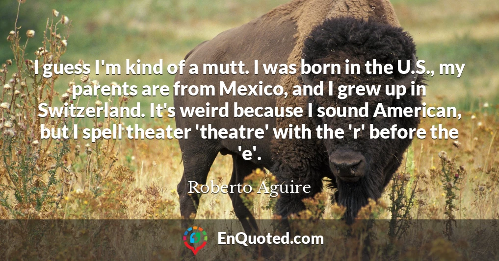I guess I'm kind of a mutt. I was born in the U.S., my parents are from Mexico, and I grew up in Switzerland. It's weird because I sound American, but I spell theater 'theatre' with the 'r' before the 'e'.