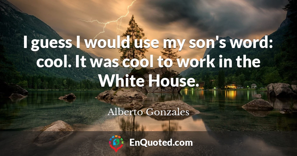 I guess I would use my son's word: cool. It was cool to work in the White House.